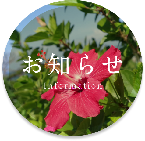お知らせ